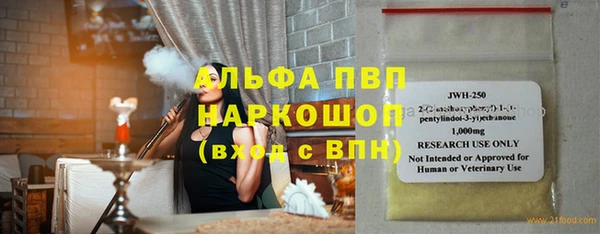 индика Алексин