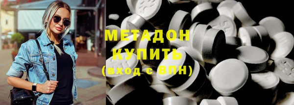 индика Алексин