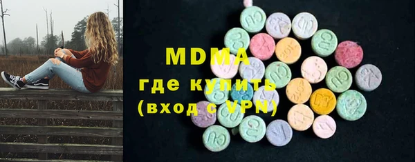 индика Алексин