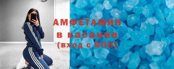индика Алексин