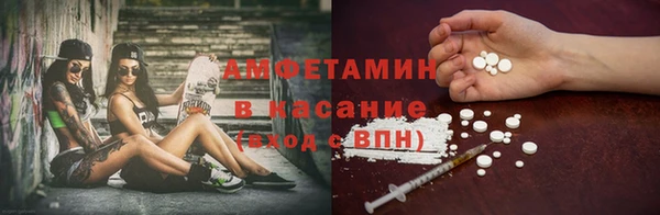 индика Алексин