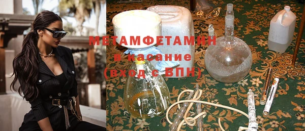 индика Алексин