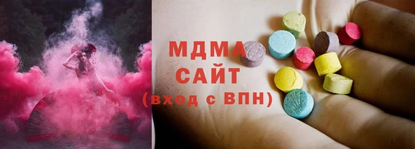 индика Алексин