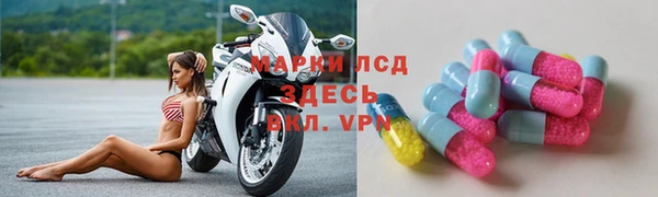 хмурый Алзамай