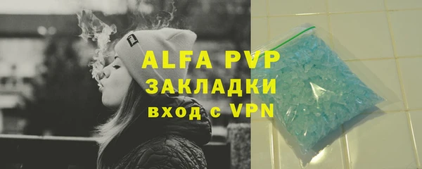 индика Алексин