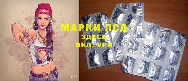 индика Алексин