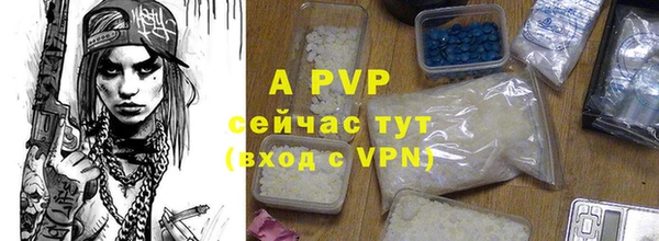 индика Алексин