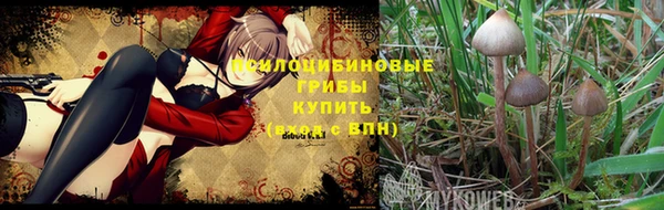 индика Алексин