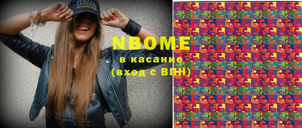 хмурый Алзамай